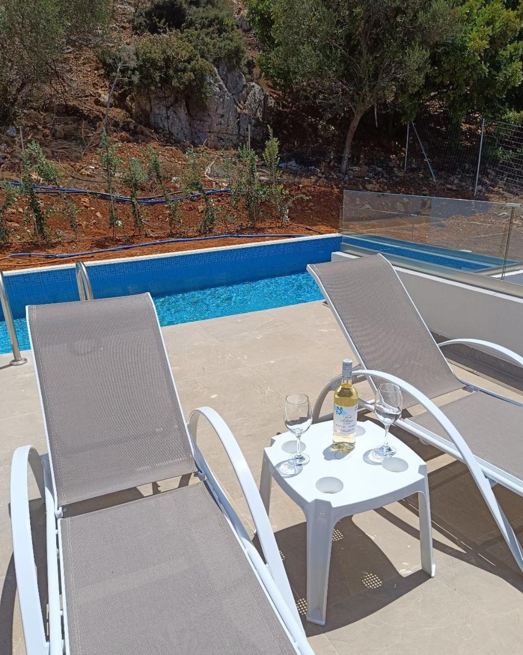 Isabel Artemis Crete - Luxury Sea Views Villas Nopíja Kültér fotó